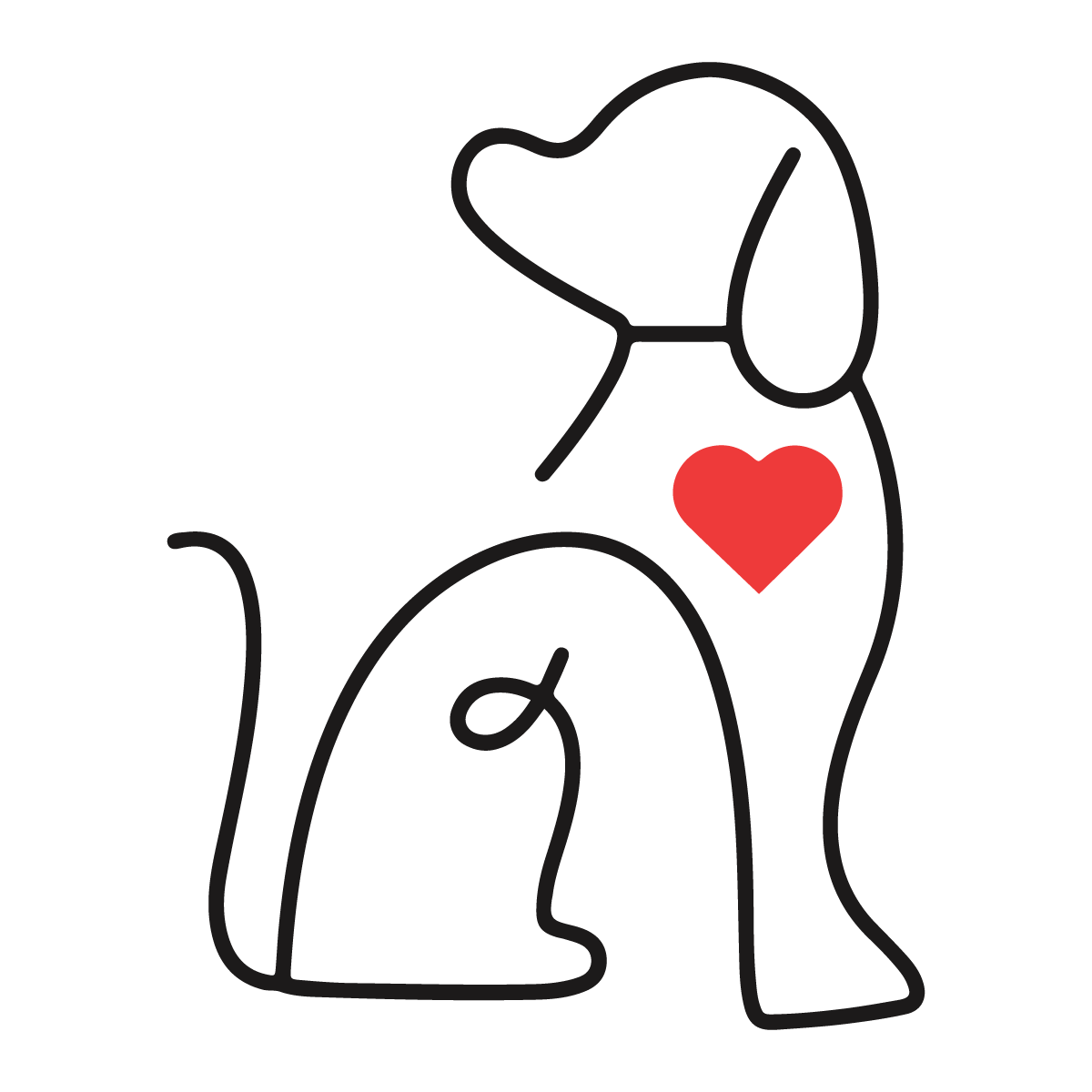 healthy-natural-dog-treats-murphy-s-bakery-healthy-dog-treats