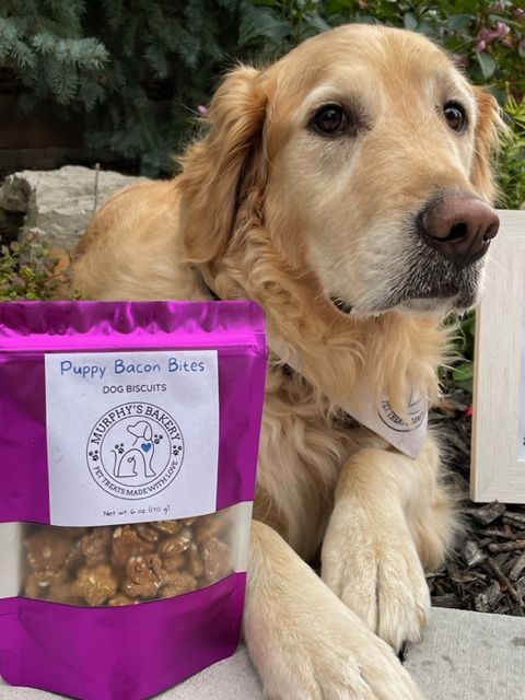 Best dog treats for golden retrievers best sale